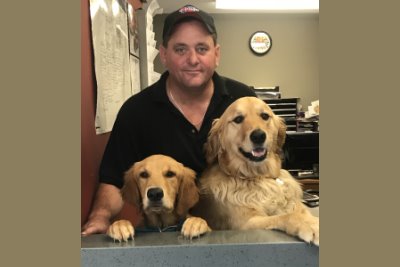 The two RT Automotive greeter dogs, golden retrievers, at the front counter